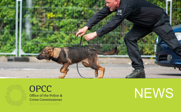Police dog